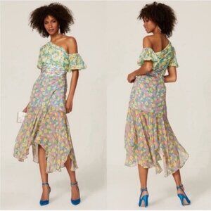 AMUR Jaylah Floral Cottagecore Midi Dress Size 14 Spring Summer Farmhouse